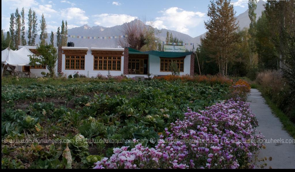 Yourdum Guest House Hundar Buitenkant foto